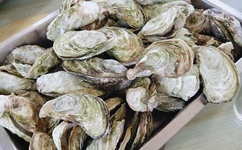 日韩精品系列产品大全